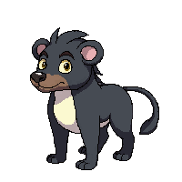 baboon