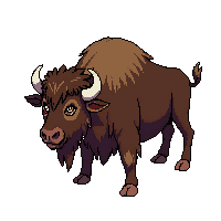 bison