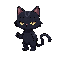 black cat