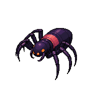 black widow spider