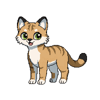 bobcat
