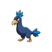 cassowary