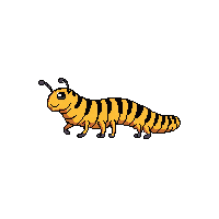 caterpillar