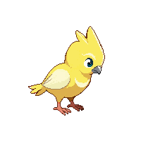 cockatiel