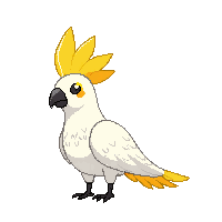 cockatoo