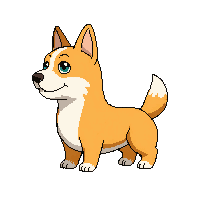 corgi