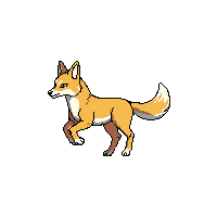 coyote