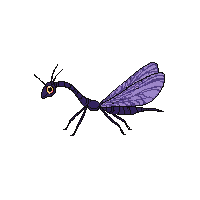 damselfly