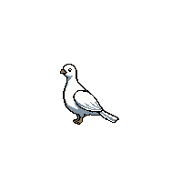 dove