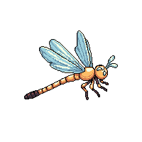 dragonfly
