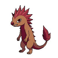 echidna