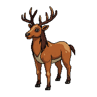 elk