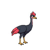emu