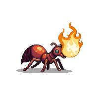 fire ant
