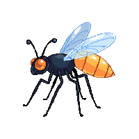 firefly