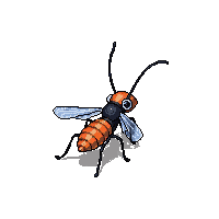 flea