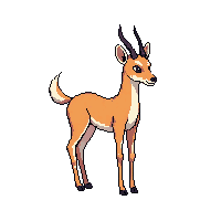 gazelle