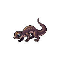 gecko