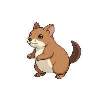 gerbil