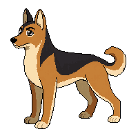 german shepherd