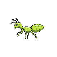 gnat