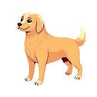 golden retriever