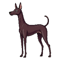 great dane