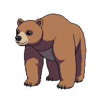 grizzly bear