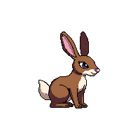hare