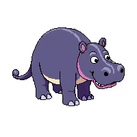 hippopotamus