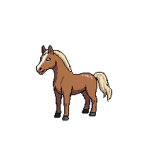 horse