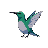 hummingbird