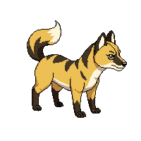 hyena