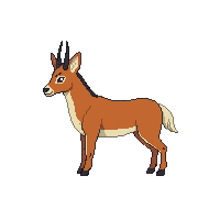 ibex