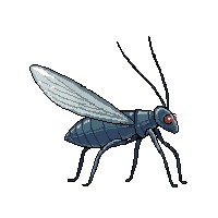 katydid