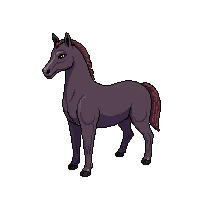 kelpie