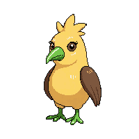 kiwi bird