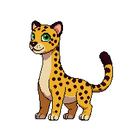 leopard
