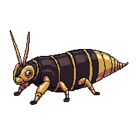 locust