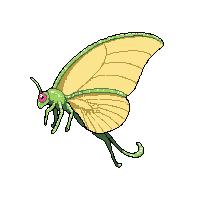 luna moth