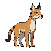 lynx
