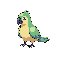 macaw