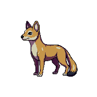 marten