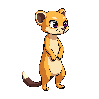 meerkat