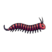 millipede