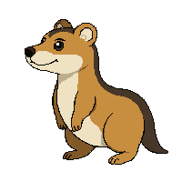 mongoose