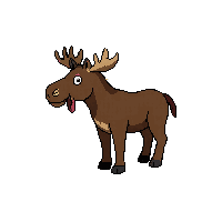 moose