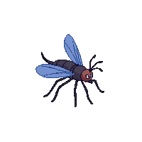 mosquito