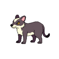opossum