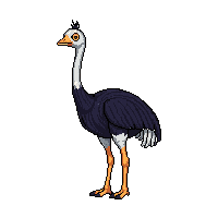 ostrich